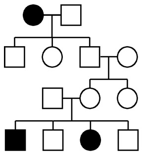 Human genetics pedigree, autosomal recessive