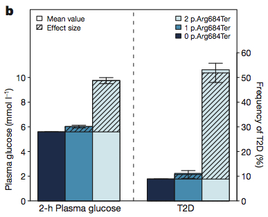 Functional impact of T2D variant