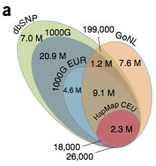 Dutch genome SNPs dbSNP
