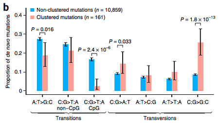 Mutation spectrum of de novo mutations