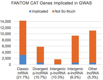 Fantom cat gene associations