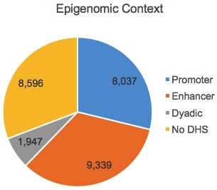 lncRNA epigenomic
